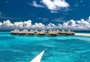 Explore Exclusive Local & Expat Offer at Coco Collection