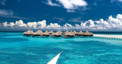 Explore Exclusive Local & Expat Offer at Coco Collection